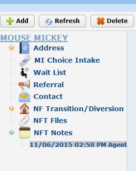 NFT Notes The NFT Note section will be used to enter any notes regarding the case that could be shared with other Agents/CILs.