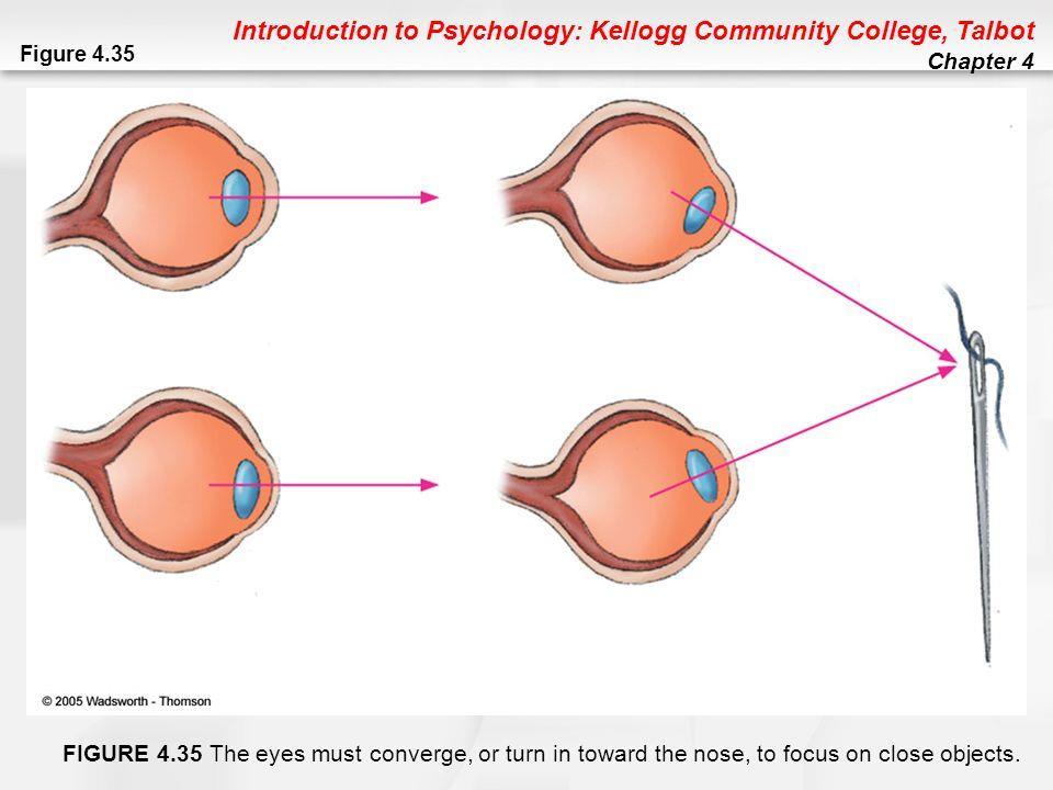 Binocular Cues Retinal