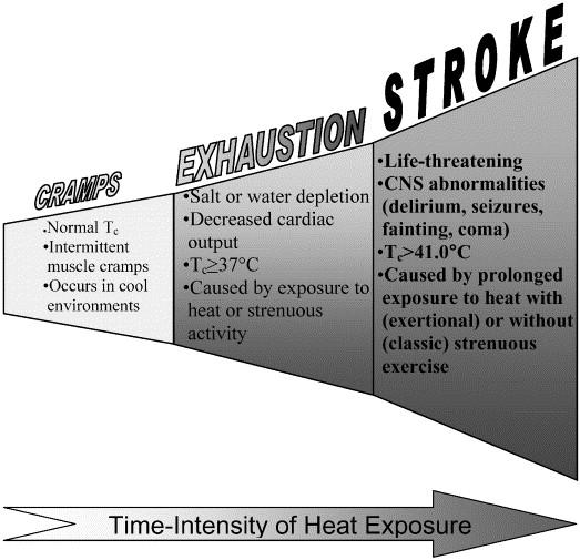 PHYSIOLOGIC RESPONSE TO HEAT Hypothalamus attempts to maintain ideal body temperature Shunts blood Vasodilation, especially of skin Splanchnic vasoconstriction Increases cardiac output Increased