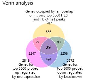 Supplementary Figure 6. Venn analysis using H3.3 ChIP-seq and microarray data.