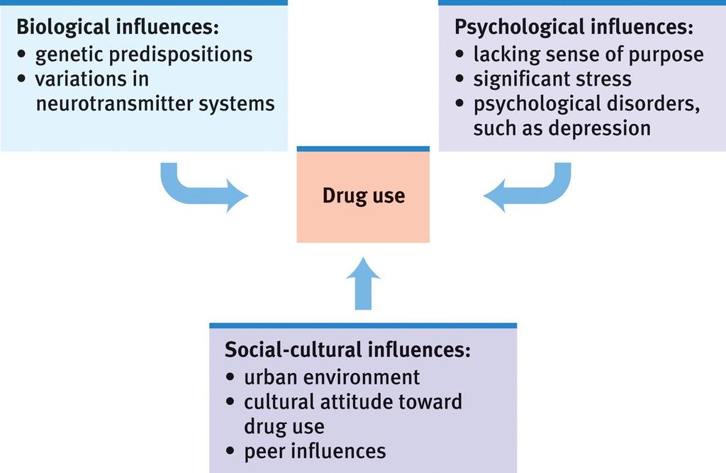 Influences on Drug Use The use of drugs is based on