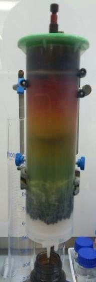 FUCOXANTHIN A CASE STUDY OF OUR RESEARCH Harvest algae biomass Conduct extraction Isolation &