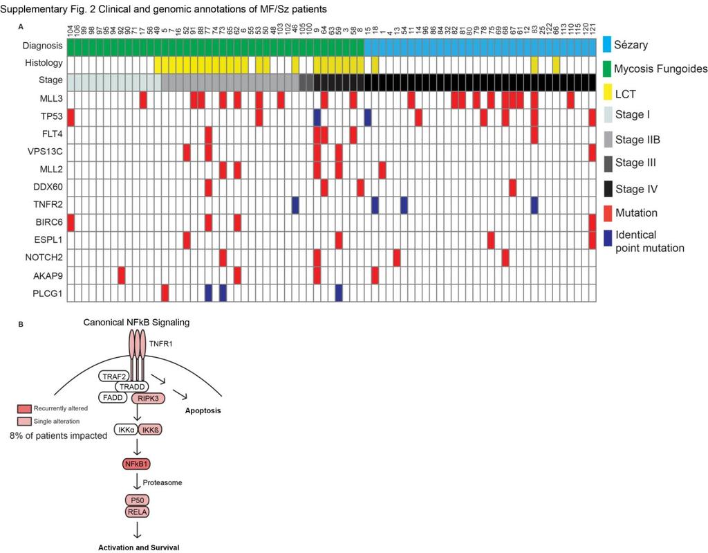 Supplementary Figure 2 Clinical and genomic annotations of patients with Mycosis fungoides and Sézary syndrome.