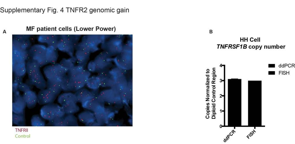 Supplementary Figure 4 TNFR2 genomic gain.