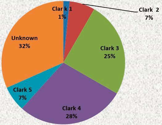 Figure 1. Clark level, 2005-2009 Table 2 shows the distribution of melanoma according to decades.