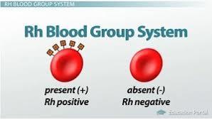RH BLOOD TYPE Based on the presence or absence of Rh marker on red cells Can cause problems during pregnancy If mother is Rh