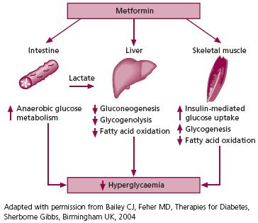 Insulin Sensitising Drugs - Metformin The only licensed biguanide It inhibits hepatic gluconeogenesis.