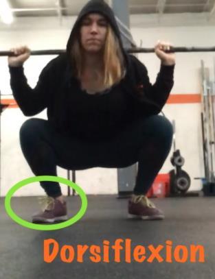 Functional Knee Valgus in a Barbell Squat 9 Table 1.2: Musculature acting on the ankle joint.