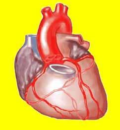 ICD-9-CM chapters: Circulatory Disorders (390-459) Coding Cardiac Pacemaker: Use code V53.