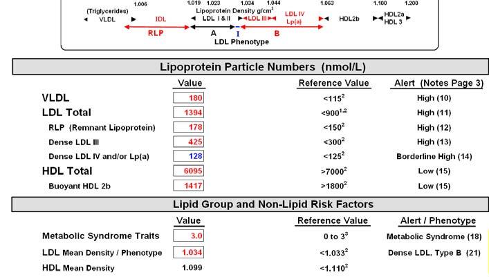 Profile Buoyant LDL High HDL 2b Low RLP