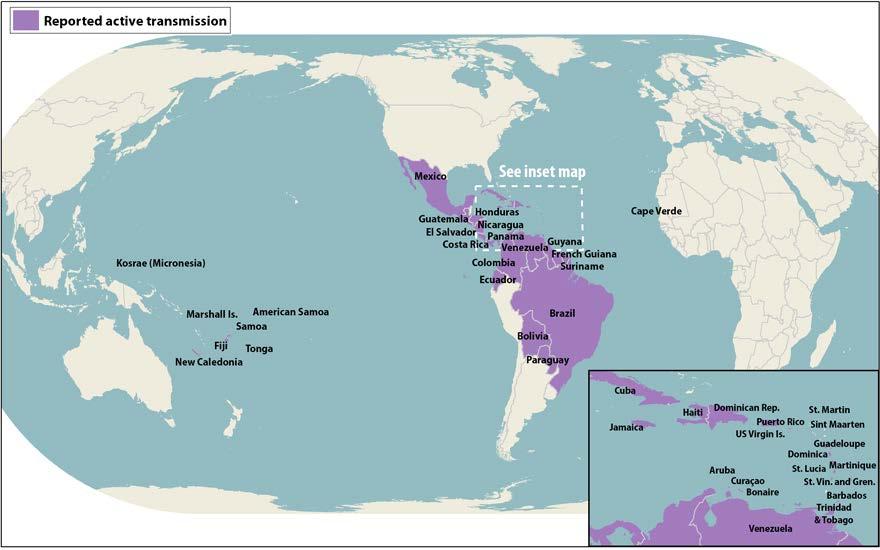 Countries and Territories with Active Zika Virus Transmission http://www.cdc.