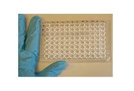 Diagnostic Testing Real-time PCR