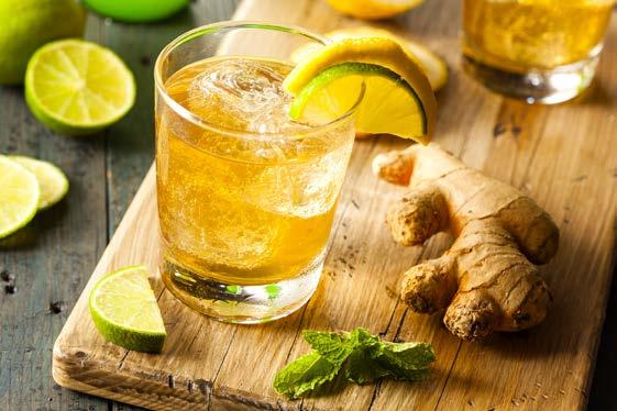 Ginger Zingiber officinale Stimulant Carminative Antispasmodic Rubefacient Diaphoretic Emmenagogue Remedy for digestive problems, as well as used for motion sickness