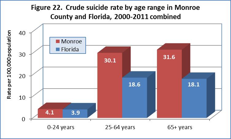 Suicide Indicators An extreme measure of the consequences of poor mental health is the suicide rate.