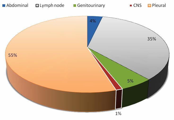 Table 5 shows that Majority of the patients of were new cases (88.1) in comparison with the retreatment cases (11.9). Fig. 1: sites of Fig.