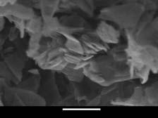 60703 Graphene Carboxyl 45000.00 20ml (GCOOHW) Water Nanodispersion (5mg/ml) C M.W. 12.01 [7782-42-5] Assay min.99%, APS: 1-5μm, Thickness 0.8-1.2nm, Carboxyl ratio 5.0% 88398 Graphene Film 135000.