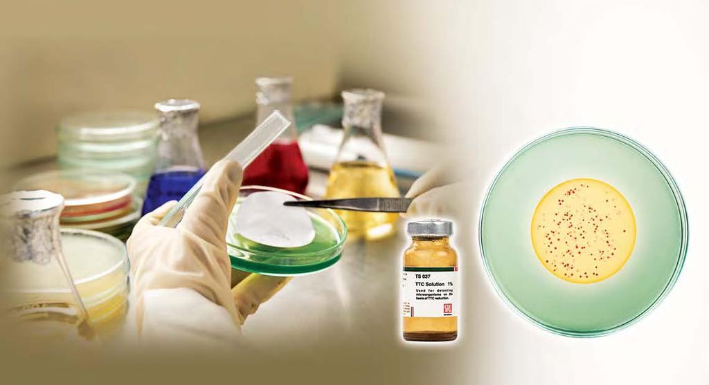 ChroMed Range of chromogenic culture media from SRL have improved sensitivity and specificity for better enumeration, identification and isolation of variety of organisms.