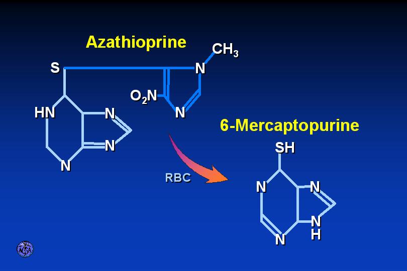 Mercaptopurine Aziothioprine Methotrexate Immunomodulators