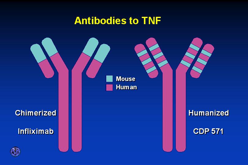 ANTIBODIES TO TNF Infliximab in Children with Crohn s Disease: The REACH Trial (n=112) Clinical Response at 10 weeks 100% 100% Remission at 54
