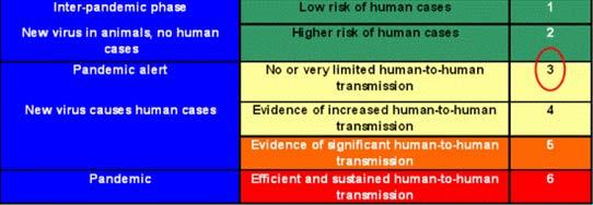 Background pandemic phases (PP guidelines 2005) Phases are conceptual tool To assist with planning on timing of control measures by countries &