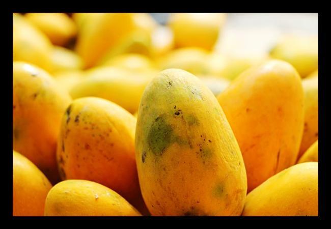 Mangoes: For all those who think mangoes are sugar loaded fattening fruits, here is an eye opener.