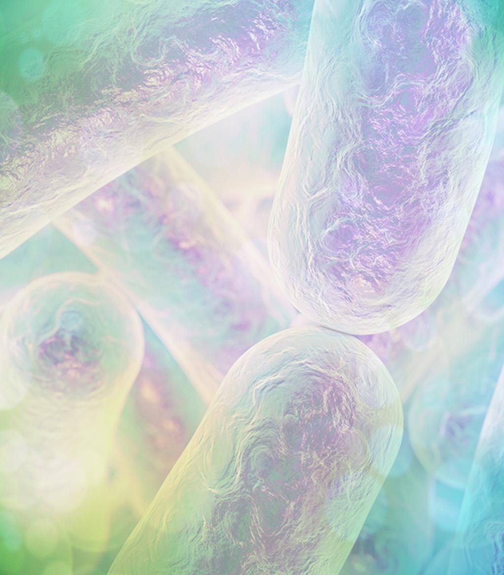 Gut microbes keep us healthy by training our immune system to fight off invaders.