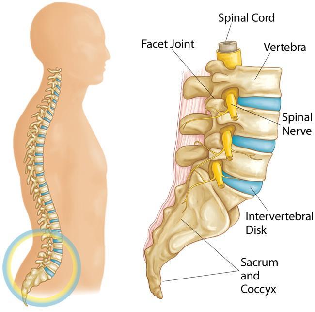Spinal injections deliver medicines into or near your spine, normally around the source of your pain.