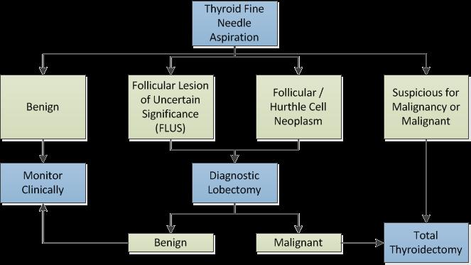 Follicular Thyroid Tumors Updates in Classification & Practical Tips Jennifer L. Hunt, MD, MEd Aubrey J.