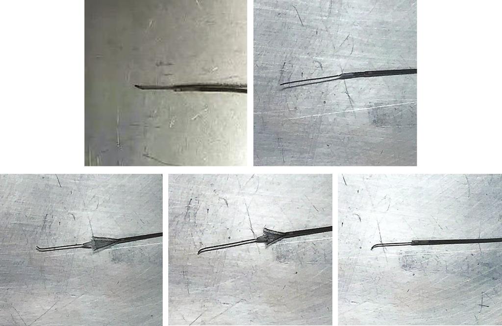 Ex Vivo Release of Pipeline Flex A B C D E 1cm Fig. 2 (A) We inserted the introducer sheath into the microcatheter (arrow) with the tip of it attached to saline.