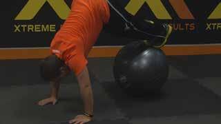 Stability Ball Ab Pike Brace your abs. Put your elbows on the bench and rest your shins on the ball.