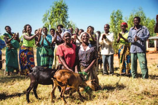 Luckily, I can sell a goat in the market to buy food for my family. said Deliya. A goat is a valuable asset to a vulnerable household in Malawi.