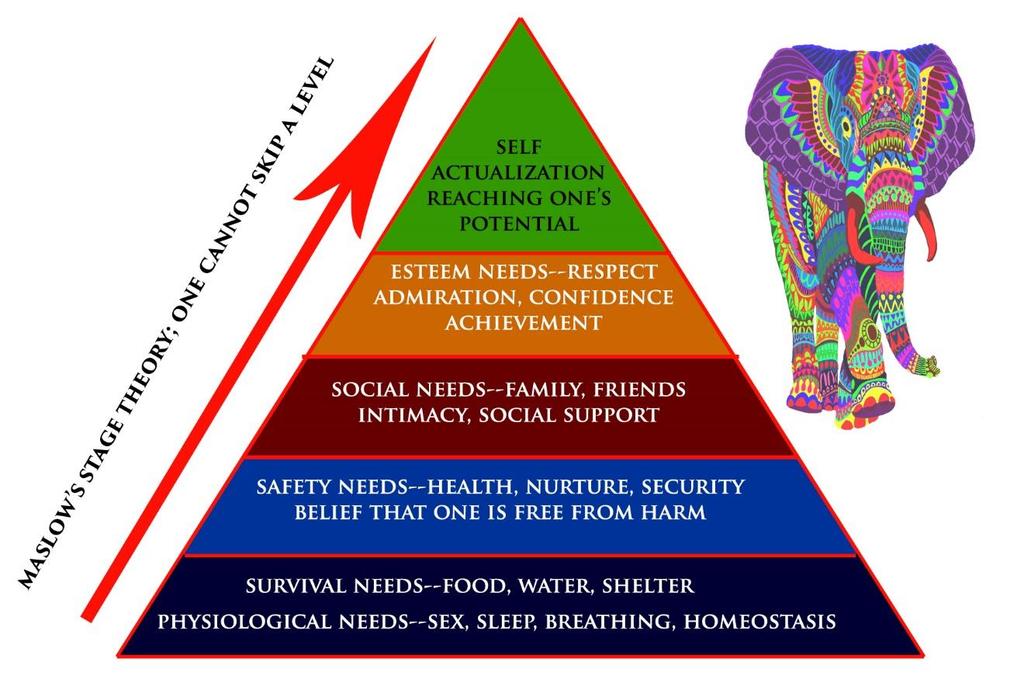 Maslow s Hierarchy of Needs begins at the base with physiological needs that must first be