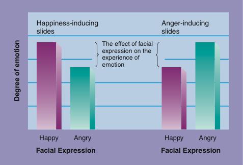 Facial Expressions n Facial feedback hypothesis smiling really makes you happier!