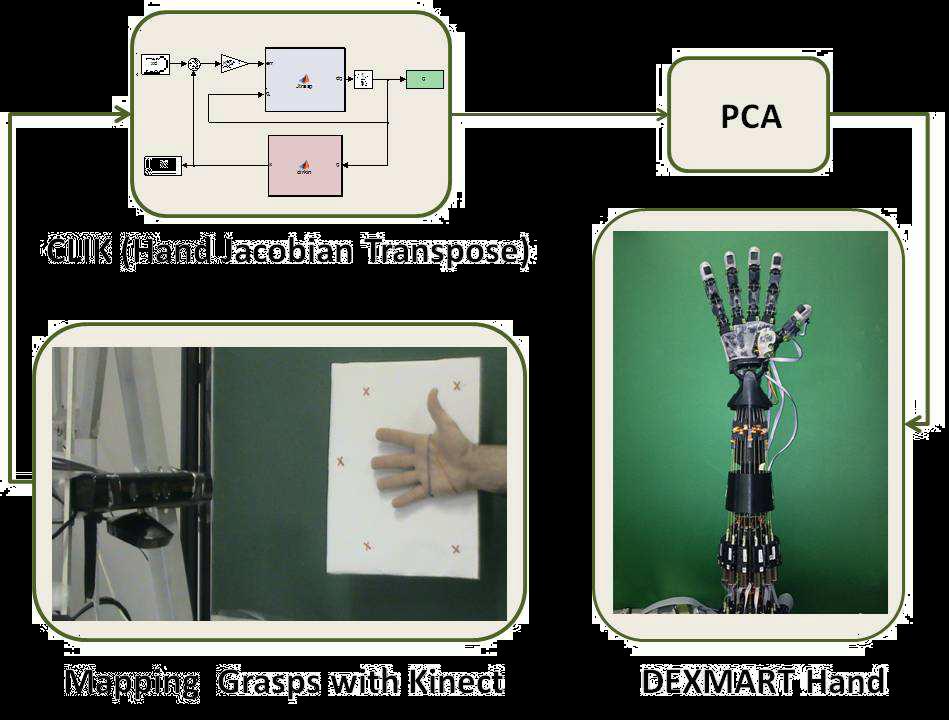 Human Hand Observation different methods for the observation and different tecnologies
