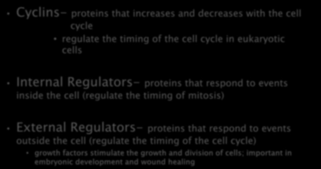 mitosis) External Regulators- proteins that respond to events outside the cell (regulate the timing of the cell