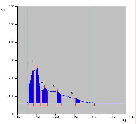 Fig..1: HPTLC Chromatogram of rutin after acid degradation.2.2.2. Base degradation 1M of NaOH was prepared by dissolving 4 g of sodium hydroxide pellets in 100 ml of distilled water.