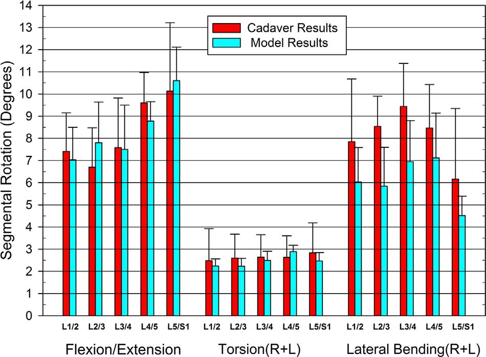 126 NATARAJAN AND ANDERSSON Figure 1. Comparison of specimen-specific model results with cadaver results.