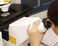 Molecular Genetics Laboratory, the Sudhakar and Sreekanth Ravi Stem Cell Biology Laboratory, the Ophthalmic Pathology Laboratory, the Visual Optics and