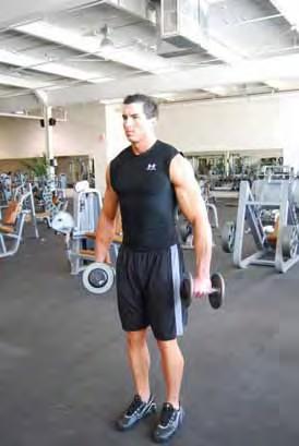 neutral grip Raise Dumbbell with a straight arm in