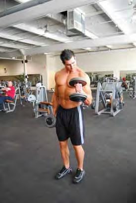 Hammer Curl Standing with feet shoulder width apart holding two dumbbells Maintain and upright posture throughout the movement Begin with arms in a relaxed