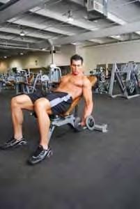 Incline Dumbbell Curl Lying on an