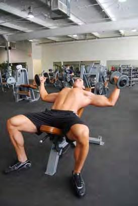 Incline Dumbbell Flye Lying on an incline bench holding dumbbells in each hand Begin with arms in the vertical