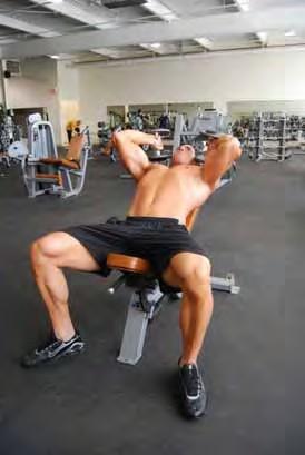 Incline Triceps Extension (Dumbbell) Lying on an incline bench dumbbells in each hand Palms in a neutral position facing each