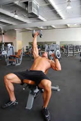 Alternate Incline Dumbbell Press Lying on an Incline Bench holding two dumbbells palms facing away from you Start with your