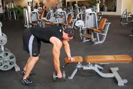 One Arm Dumbbell Row Take a wide stance and support your upper body with one hand on a bench Maintain a straight back start with your arm in an