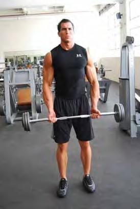 Barbell Curls Standing with feet shoulder width apart