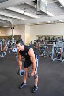 Bent Dumbbell Row Standing with feet shoulder width apart holding dumbbells Knees slightly bent throughout the movement Bend at the waist with your