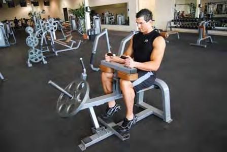 Seated Calf Raise Use a seated calf machine (if you don t have a seated calf