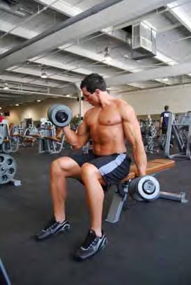 Seated on a bench holding two dumbbells Curl one dumbbell