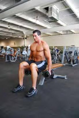 Seated Dumbbell Lateral Raises Seated with